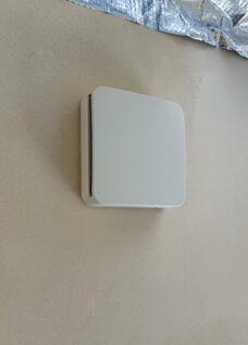 538943552-796401899712220-2240955406723046733-n.jpeg